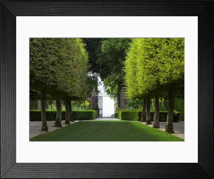 Framed Print : DDE-90182250 Framed Print : DDE-90182250