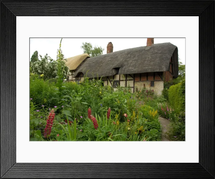 Framed Print : DDE-90182259 Framed Print : DDE-90182259
