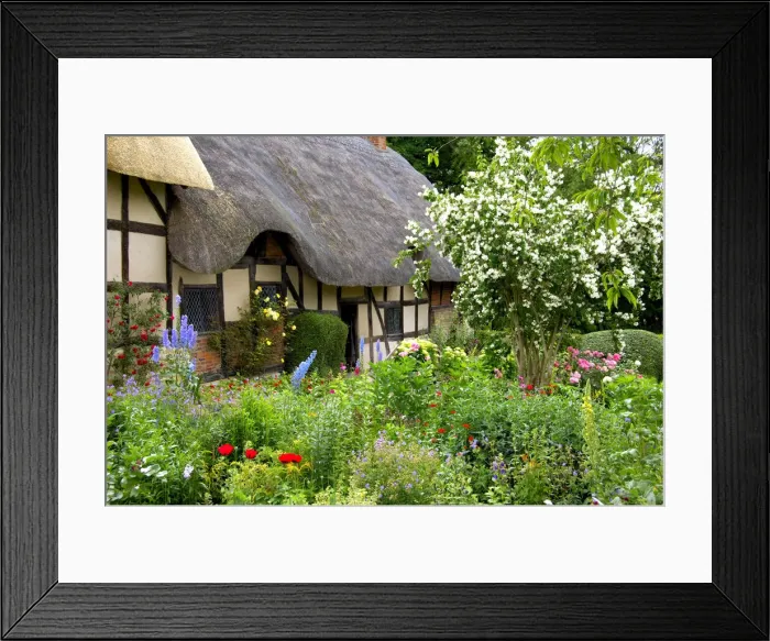 Framed Print : DDE-90182260 Framed Print : DDE-90182260