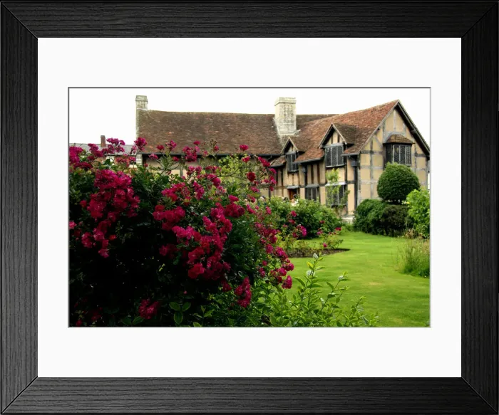 Framed Print : DDE-90182261 Framed Print : DDE-90182261