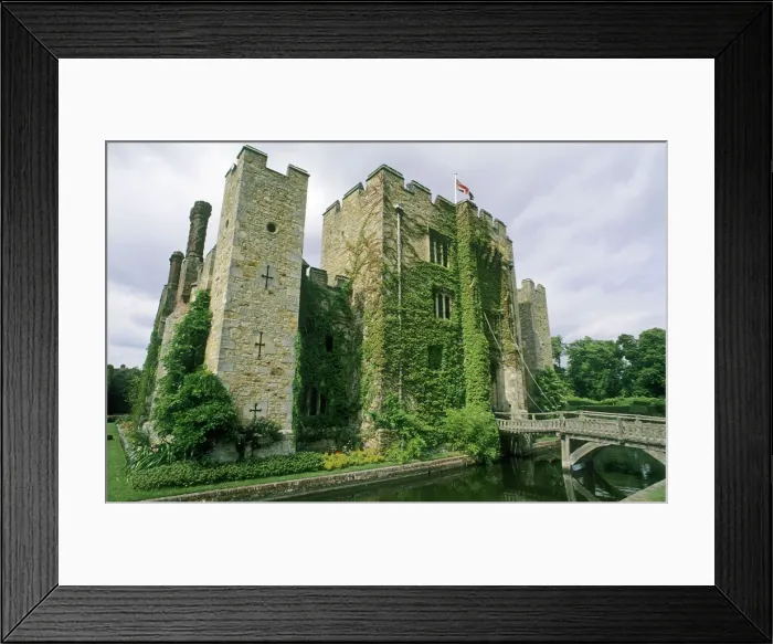 Framed Print : DDE-90182272 Framed Print : DDE-90182272