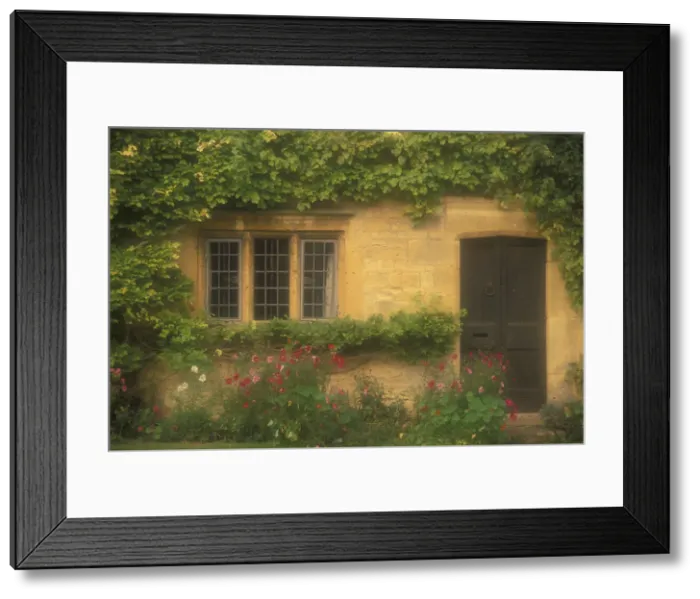 Framed Print : DDE-90182282 Framed Print : DDE-90182282