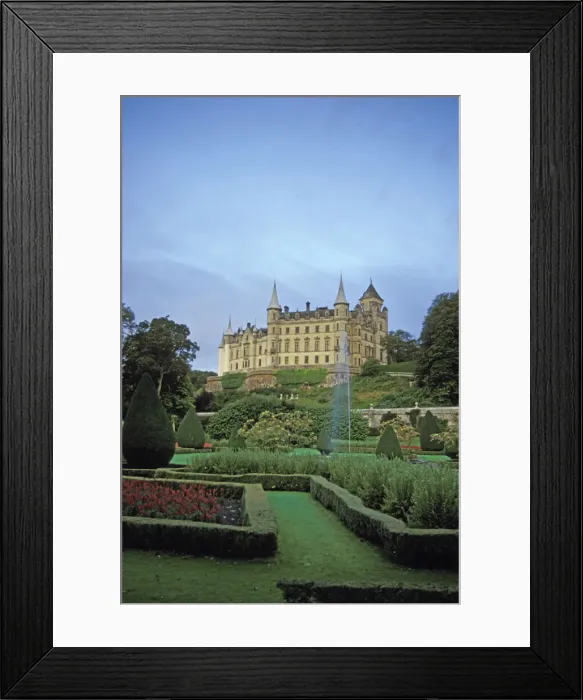 Framed Print : DDE-90182284 Framed Print : DDE-90182284