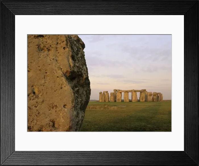Framed Print : DDE-90197093