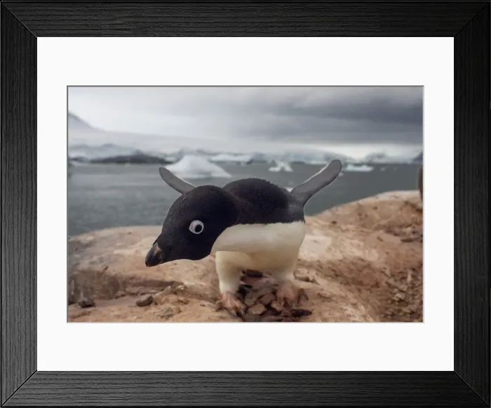 Framed Print : DDE-90212326 Framed Print : DDE-90212326