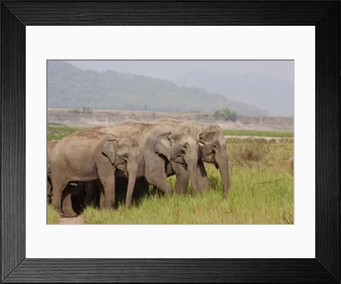 Framed Print : DDE-90212337 Framed Print : DDE-90212337