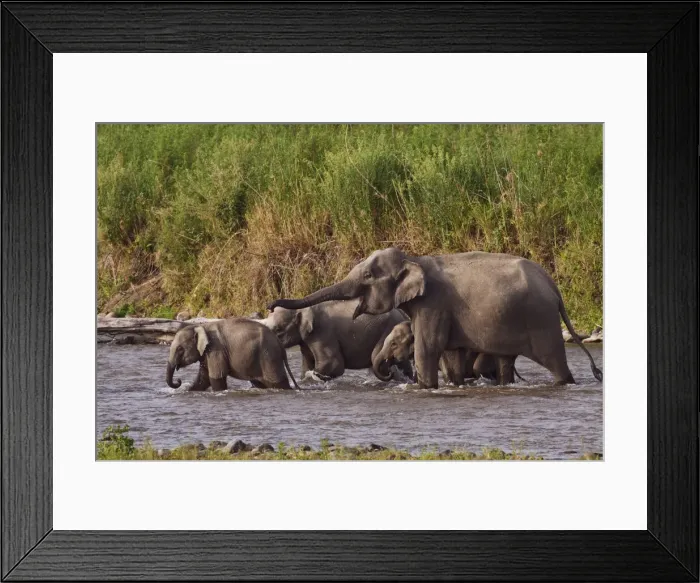 Framed Print : DDE-90212338 Framed Print : DDE-90212338