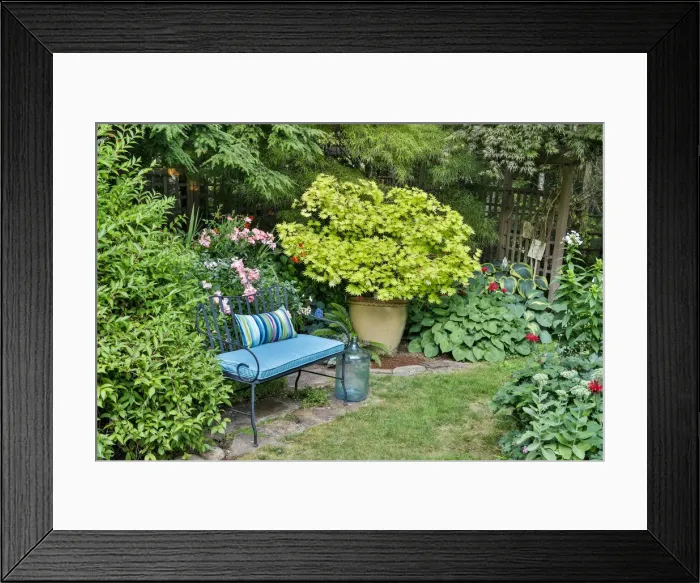 Framed Print : DDE-90215859 Framed Print : DDE-90215859