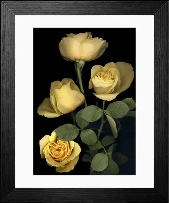 Framed Print : DDE-90223725 Framed Print : DDE-90223725
