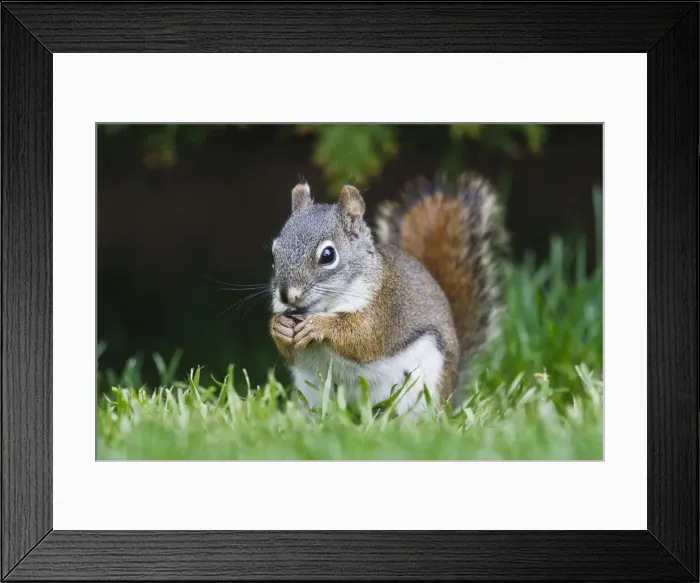 Framed Print : DDE-90244682 Framed Print : DDE-90244682