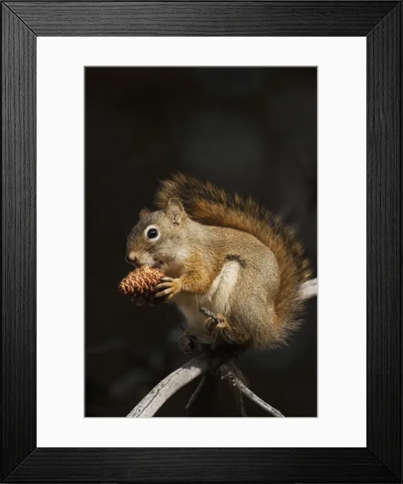 Framed Print : DDE-90244683 Framed Print : DDE-90244683