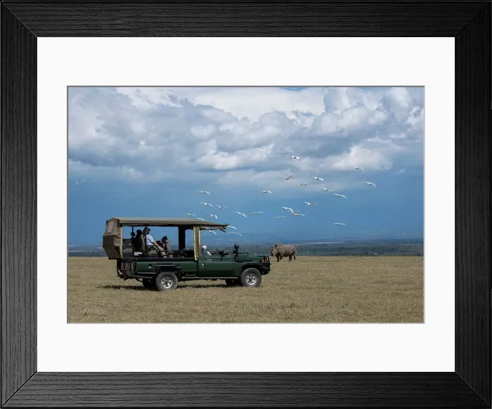 Framed Print : Africa, Kenya, Ol Pejeta Conservancy. Safari jeep with Southern white rhinoceros (Ceratotherium simum simum). (Editorial Use Only) Date: 23-10-2020 Framed Print : Africa, Kenya, Ol Pejeta Conservancy. Safari jeep with Southern white rhinoceros (Ceratotherium simum simum). (Editorial Use Only) Date: 23-10-2020