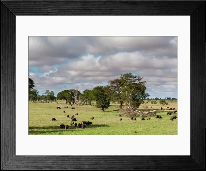 Framed Print : Landscape of the savannah, Tsavo, Kenya. Date: 17-04-2017 Framed Print : Landscape of the savannah, Tsavo, Kenya. Date: 17-04-2017