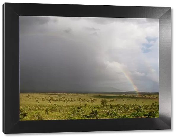 A rainbow over the savannah, Tsavo, Kenya. Date: 18-04-2017