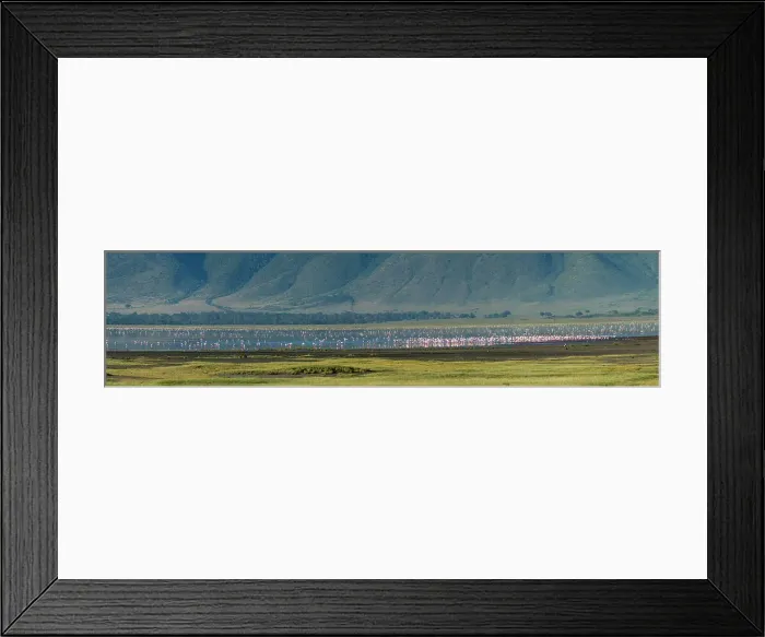 Framed Print : Greater flamingos (Phoenicopterus roseus), Ngorongoro crater, Ngorongoro Conservation Area, Serengeti, Tanzania. Date: 18-02-2019