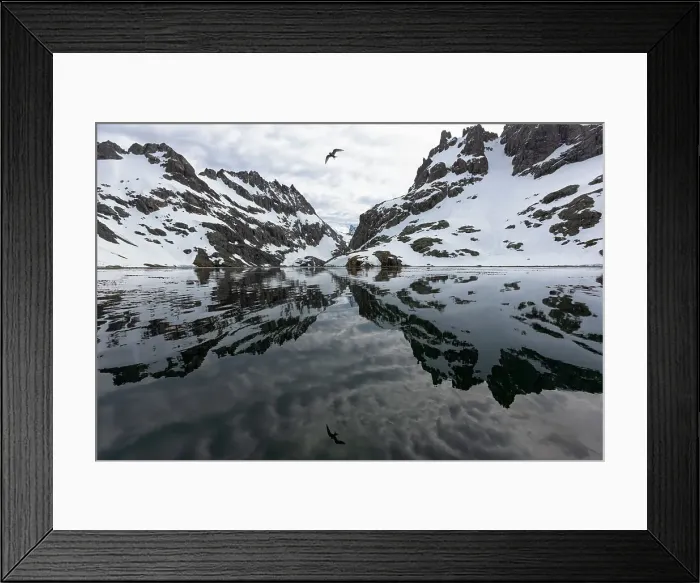 Framed Print : Southern Ocean, South Georgia, Larsen Harbor. This is a harbor off the Drygalski Fjord and its protection lends itself to glassy water and beautiful reflections. Date: 26-11-2009 Framed Print : Southern Ocean, South Georgia, Larsen Harbor. This is a harbor off the Drygalski Fjord and its protection lends itself to glassy water and beautiful reflections. Date: 26-11-2009