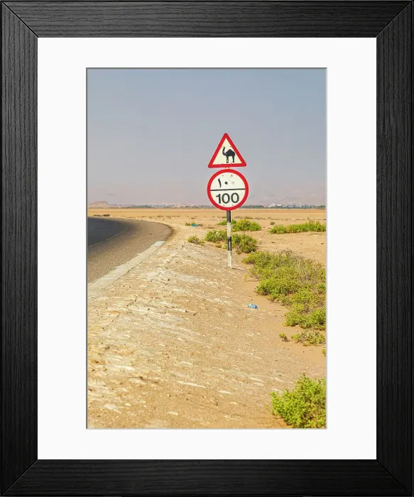 Framed Print : Middle East, Arabian Peninsula, Al Batinah South. Camel crossing and speed limit signs on a highway in Oman. Date: 28-10-2019 Framed Print : Middle East, Arabian Peninsula, Al Batinah South. Camel crossing and speed limit signs on a highway in Oman. Date: 28-10-2019