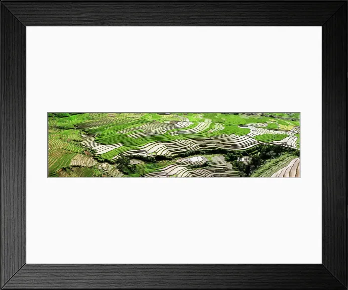 Framed Print : Vietnam. Date: 25-06-2019 Framed Print : Vietnam. Date: 25-06-2019