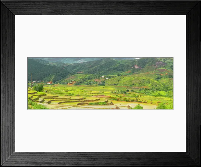 Framed Print : Vietnam. Rice paddies in the highlands of Sapa. Date: 25-06-2019 Framed Print : Vietnam. Rice paddies in the highlands of Sapa. Date: 25-06-2019