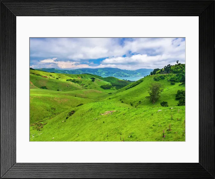 Framed Print : Rolling farmland on the Otago Peninsula, Dunedin, Otago, South Island, New Zealand Date: 22-06-2021 Framed Print : Rolling farmland on the Otago Peninsula, Dunedin, Otago, South Island, New Zealand Date: 22-06-2021