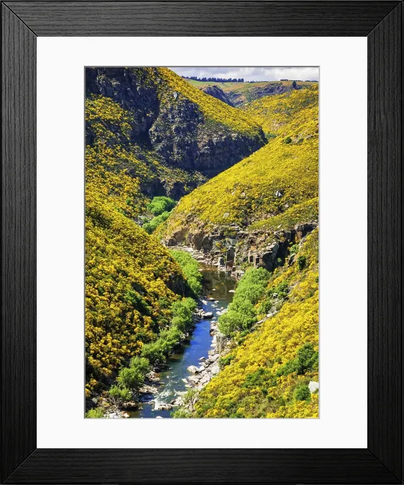 Framed Print : Dunedin Railways tour of the Taieri Gorge, Otago, South Island, New Zealand Date: 22-06-2021 Framed Print : Dunedin Railways tour of the Taieri Gorge, Otago, South Island, New Zealand Date: 22-06-2021