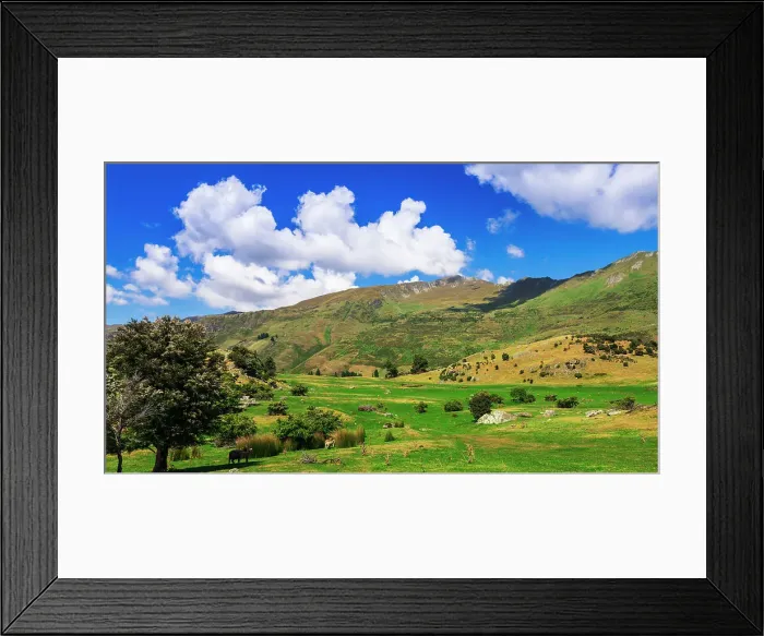Framed Print : Sheep ranch on the shore of Lake Wanaka, Otago, South Island, New Zealand Date: 01-07-2021