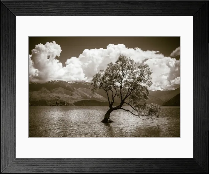 Framed Print : The Wanaka tree, Lake Wanaka, Otago, South Island, New Zealand Date: 01-07-2021 Framed Print : The Wanaka tree, Lake Wanaka, Otago, South Island, New Zealand Date: 01-07-2021