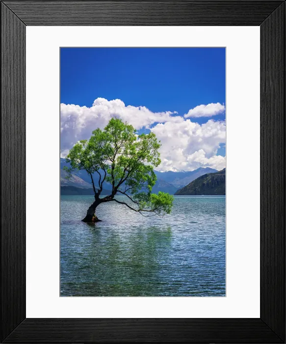 Framed Print : The Wanaka tree, Lake Wanaka, Otago, South Island, New Zealand Date: 01-07-2021 Framed Print : The Wanaka tree, Lake Wanaka, Otago, South Island, New Zealand Date: 01-07-2021