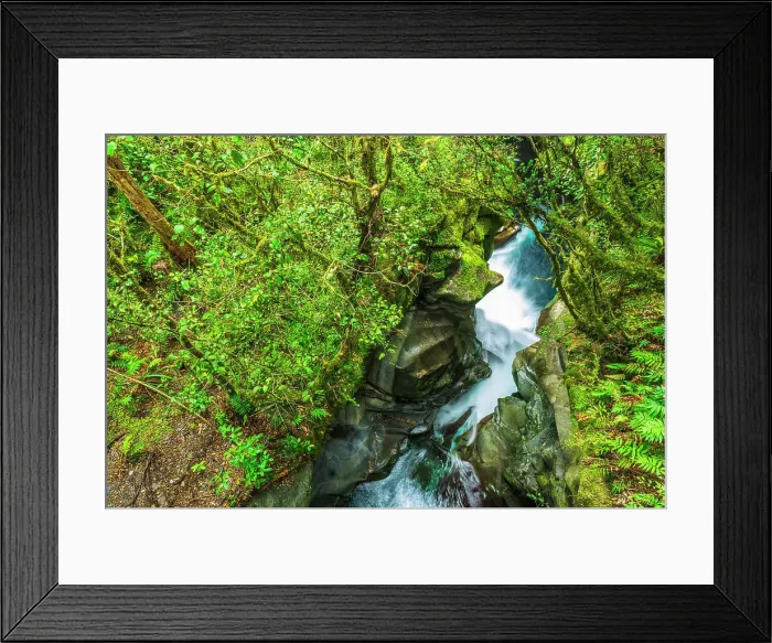 Framed Print : The Chasm, Fiordland National Park, South Island, New Zealand Date: 01-07-2021 Framed Print : The Chasm, Fiordland National Park, South Island, New Zealand Date: 01-07-2021