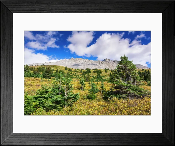 Framed Print : Nigel Peak from Wilcox Ridge, Columbia Icefields, Jasper National Park, Alberta, Canada Date: 25-05-2021 Framed Print : Nigel Peak from Wilcox Ridge, Columbia Icefields, Jasper National Park, Alberta, Canada Date: 25-05-2021