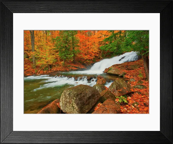 Framed Print : Canada, Ontario, Rosseau. Skeleton River at Hatchery Falls in autumn. Date: 11-10-2014 Framed Print : Canada, Ontario, Rosseau. Skeleton River at Hatchery Falls in autumn. Date: 11-10-2014
