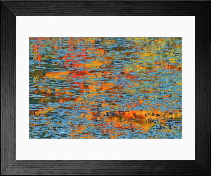 Framed Print : Canada, Ontario, Minden. Reflection of autumn colored forest in pond with water lily pads. Date: 06-10-2006 Framed Print : Canada, Ontario, Minden. Reflection of autumn colored forest in pond with water lily pads. Date: 06-10-2006