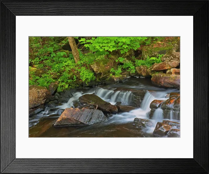 Framed Print : Canada, Quebec, Parc National du Mont-Tremblant. Scenic of waterfall over rocks. Date: 19-07-2017 Framed Print : Canada, Quebec, Parc National du Mont-Tremblant. Scenic of waterfall over rocks. Date: 19-07-2017