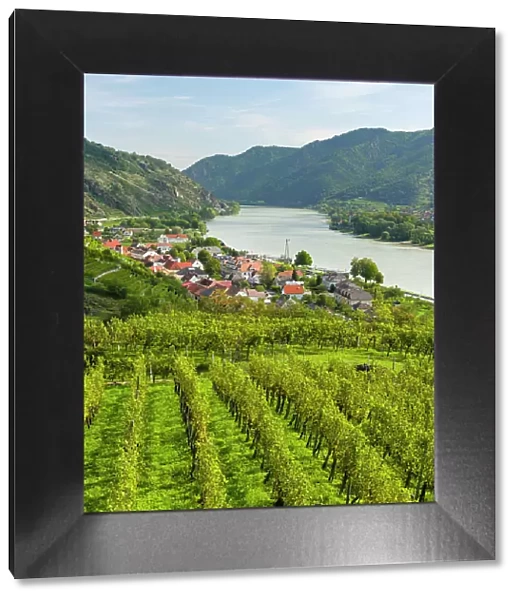 Historic village Spitz located in wine-growing area, UNESCO World Heritage Site. Lower Austria Date: 11-09-2020