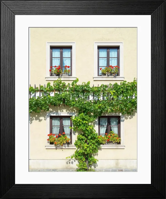 Framed Print : Historic village Unterloiben located in wine-growing area, UNESCO World Heritage Site. Lower Austria. (Editorial Use Only) Date: 11-09-2020 Framed Print : Historic village Unterloiben located in wine-growing area, UNESCO World Heritage Site. Lower Austria. (Editorial Use Only) Date: 11-09-2020