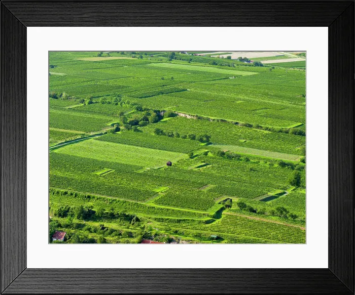 Framed Print : View over the vineyards near the Danube from Gottweig Abbey, a UNESCO World Heritage Site, Wachau, Lower Austria Date: 11-09-2020