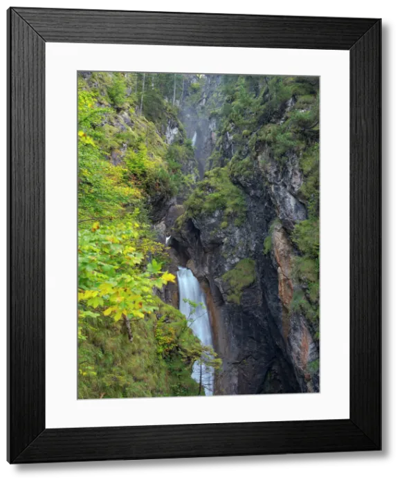 Framed Print : Waterfall in gorge of Gaisalpbach near Oberstdorf in the Allgau. Germany, Bavaria Date: 30-09-2020 Framed Print : Waterfall in gorge of Gaisalpbach near Oberstdorf in the Allgau. Germany, Bavaria Date: 30-09-2020