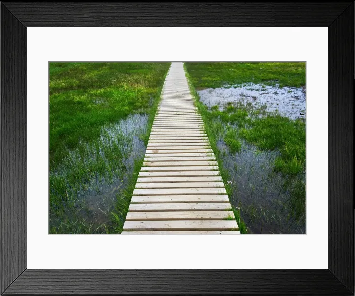 Framed Print : A plank pathway in Landmannalaugar, Iceland Date: 21-07-2017 Framed Print : A plank pathway in Landmannalaugar, Iceland Date: 21-07-2017