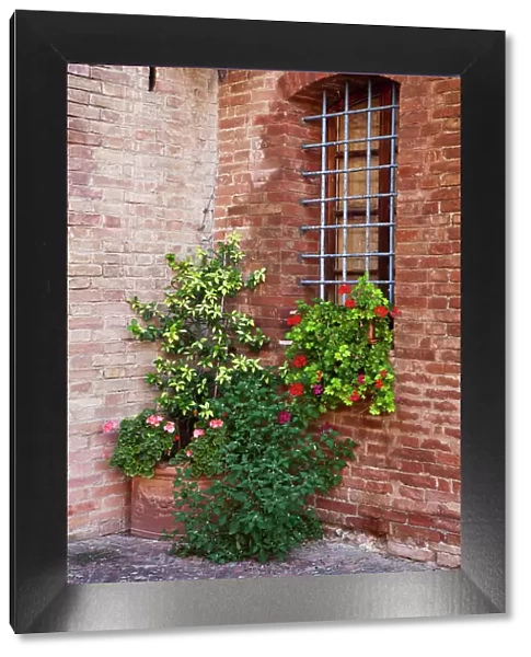 Italy, Tuscany. Plants inside the Abbazia di Monte Oliveto Maggiore, one of the rural monasteries in Tuscany. Date: 23-09-2010