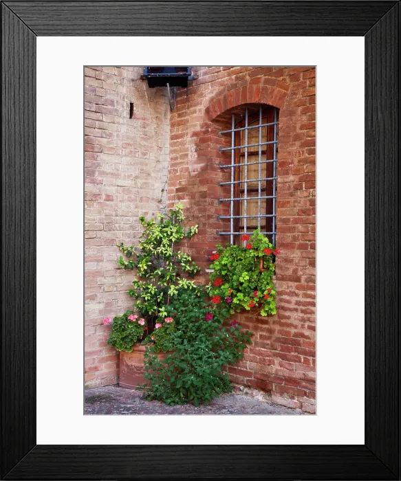 Framed Print : Italy, Tuscany. Plants inside the Abbazia di Monte Oliveto Maggiore, one of the rural monasteries in Tuscany. Date: 23-09-2010 Framed Print : Italy, Tuscany. Plants inside the Abbazia di Monte Oliveto Maggiore, one of the rural monasteries in Tuscany. Date: 23-09-2010
