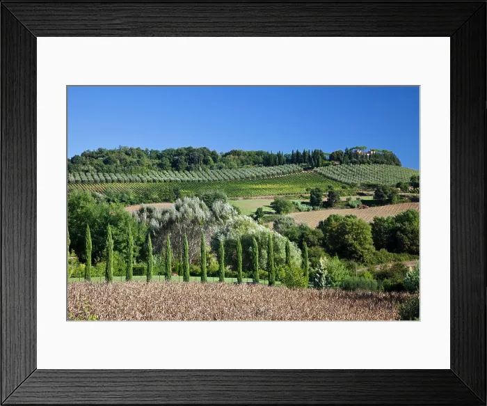 Framed Print : Italy, Tuscany. Villa on hillside surrounded with olive trees and vineyard. Date: 26-09-2010 Framed Print : Italy, Tuscany. Villa on hillside surrounded with olive trees and vineyard. Date: 26-09-2010