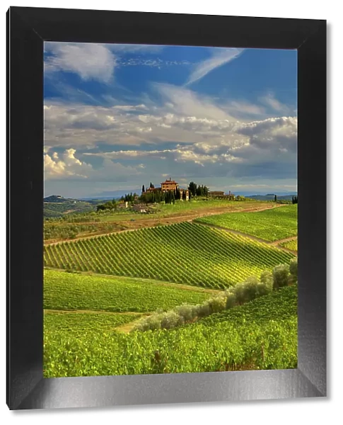 Italy, Tuscany. A view of the vineyards and villa in Chianti region of Tuscany, Italy. Date: 26-09-2010