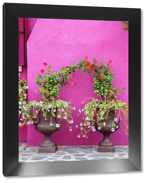 Italy, Venice, Burano Island. Urns planted with flowers against a bright pink wall on Burano Island. Date: 02-10-2010
