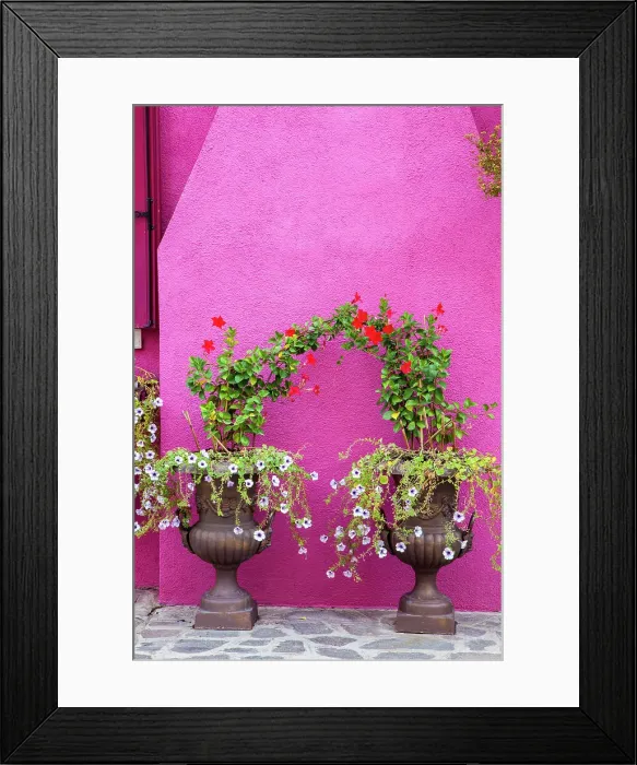 Framed Print : Italy, Venice, Burano Island. Urns planted with flowers against a bright pink wall on Burano Island. Date: 02-10-2010