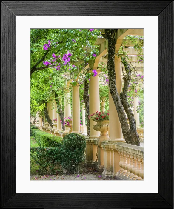 Framed Print : Portugal, Aveiro. Parque Dom Pedro Infante in Aveiro. Stone balustrade with pergola and columns. Date: 12-07-2019 Framed Print : Portugal, Aveiro. Parque Dom Pedro Infante in Aveiro. Stone balustrade with pergola and columns. Date: 12-07-2019