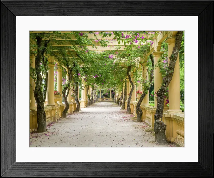 Framed Print : Portugal, Aveiro. Parque Dom Pedro Infante in Aveiro. Stone balustrade with pergola and columns. Date: 12-07-2019 Framed Print : Portugal, Aveiro. Parque Dom Pedro Infante in Aveiro. Stone balustrade with pergola and columns. Date: 12-07-2019