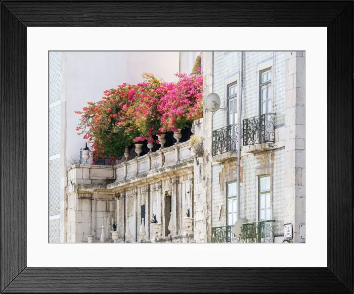 Framed Print : Portugal, Lisbon. Colorful Bougainvillea trailing over balcony of white building. Date: 14-07-2019 Framed Print : Portugal, Lisbon. Colorful Bougainvillea trailing over balcony of white building. Date: 14-07-2019