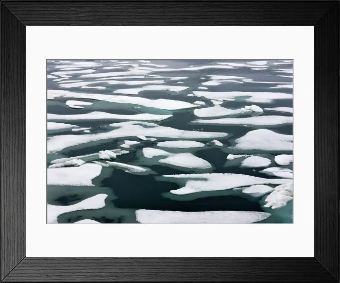 Framed Print : Floating ice in Chukchi Sea, Russian Far East Date: 29-07-2012 Framed Print : Floating ice in Chukchi Sea, Russian Far East Date: 29-07-2012
