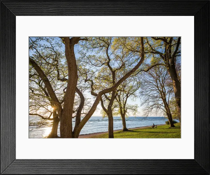Framed Print : Sweden, Gotland Island, Visby, Strandpromenaden, coastal walkway, sunset Date: 13-05-2019