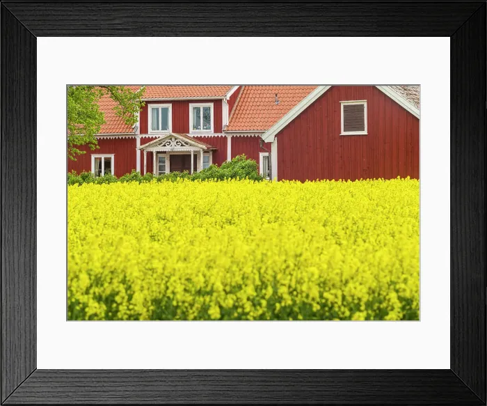Framed Print : Sweden, Lake Vattern Area, Renstad, farm, springtime Date: 17-05-2019 Framed Print : Sweden, Lake Vattern Area, Renstad, farm, springtime Date: 17-05-2019